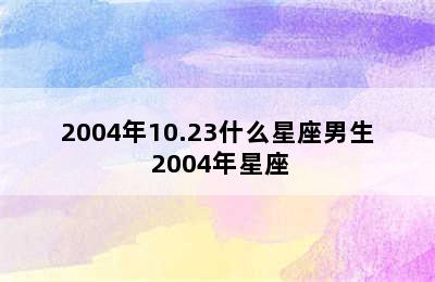 2004年10.23什么星座男生 2004年星座